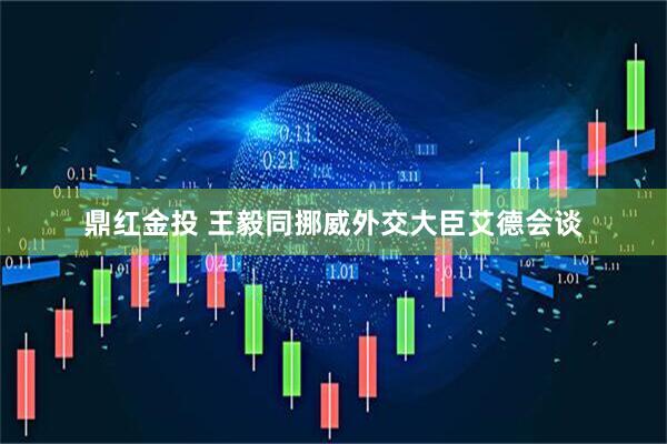 鼎红金投 王毅同挪威外交大臣艾德会谈