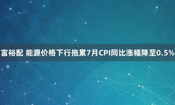 富裕配 能源价格下行拖累7月CPI同比涨幅降至0.5%